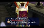 Het verkrijgen van alle flessen in Zelda schaamlippen van masker