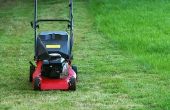 Hoe schoon mijn grasmaaier met brandstof additief