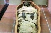 Hoe lang duurt het om een mummie?