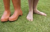 Hoe te identificeren hypothyreoïdie en als het is verantwoordelijk voor uw Foot Pain