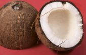 Het verwijderen van make-up met kokosolie