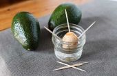 Hoe om te groeien van een Avocado Pit