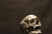 Hoe maak je een menselijke schedel uit klei