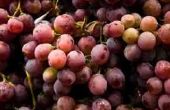 Hoe druiven om vers te houden in de koelkast