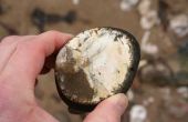 De verschillende soorten van Missouri steen gebruikt voor Flint Knapping