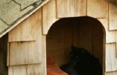 How to Build een Cat Shelter van hout