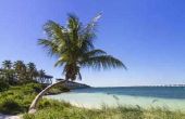 Beachfront Villas te huur in de Florida Keys