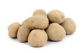 Het planten van aardappelen in Pallets