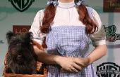 Hoe te doen een "Wizard of Oz" Dorothy kapsel
