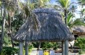 Hoe maak je een Tiki Hut Palm blad dak