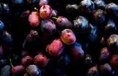 Hoe bevroren druiven SAP