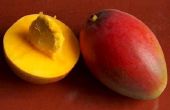 Hoe voor te bereiden een Mango