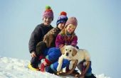 Van Brrrr aan Purrr: huisdier van veiligheid in de Winter