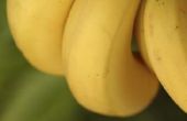 Kan ik limoensap gebruiken om bananen vers te houden?