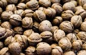 How to Grow & oogst walnoten