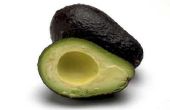 Hoe seizoen verse avocado 's