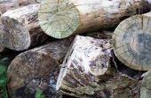 Hoe te bespoedigen hout verval