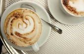 Instructies voor de Mr Koffie Espresso Maker ECM250