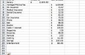 Het instellen van een Budget op Excel