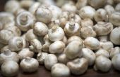 How to Start een Mushroom Business met geen contant geld
