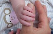 Florida State gecertificeerd babysit eisen