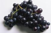 Waarom druif Clusters uitdrogen op de wijnstok?