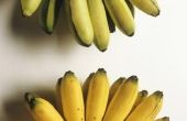 Zet bananen Brown langzamer in een zak?