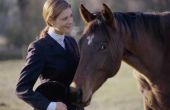 Hogescholen voor paarden therapie