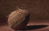 Hoe te bevriezen van pakketten van geraspte kokosnoot