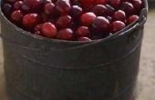 Merken van Cranberry sap