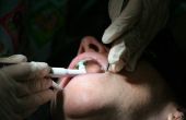 Lijst van scholen die bieden tandhygiëne graden in Florida