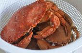 How to Cook rode Rock Crab