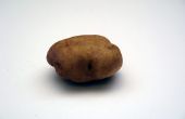 Hoe dieet met aardappelen