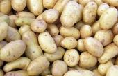 How to Cook Nugget aardappelen