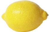 Hoe te de citroenen rijpen