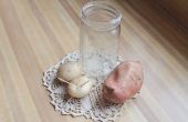 Hoe om te groeien van een aardappel in Water voor een Project van de wetenschap