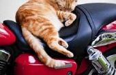 Hoe om te katten weren motorfiets zetels