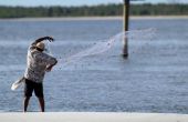 Hoe te vangen Mullet vissen in Florida