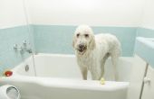 Hoe om te mengen een jodium bad voor uw hond