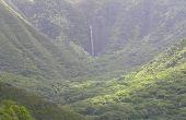 Bodemtypes van de Hawaiiaanse eilanden