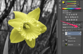 Hoe gebruik ik kleurbedekking in Adobe Photoshop?