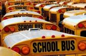 New York schoolbus wetten