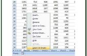 Hoe meerdere Excel-Spreadsheets op één pagina afdrukken