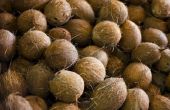 Het gebruik van kokosolie tegen kaalheid