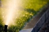 Hoe Winter voorbereiden een terugvoer Preventer klep in een gazon Sprinkler systeem