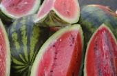 Hoe te eten watermeloen om te genezen van de zuurgraad