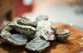 Hoe goed bewaart u verse oesters