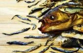 Gevaren van gerookte vis