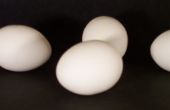 Cool wetenschap experimenten met eieren