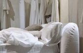 De beste Insecticide voor Bed Bugs